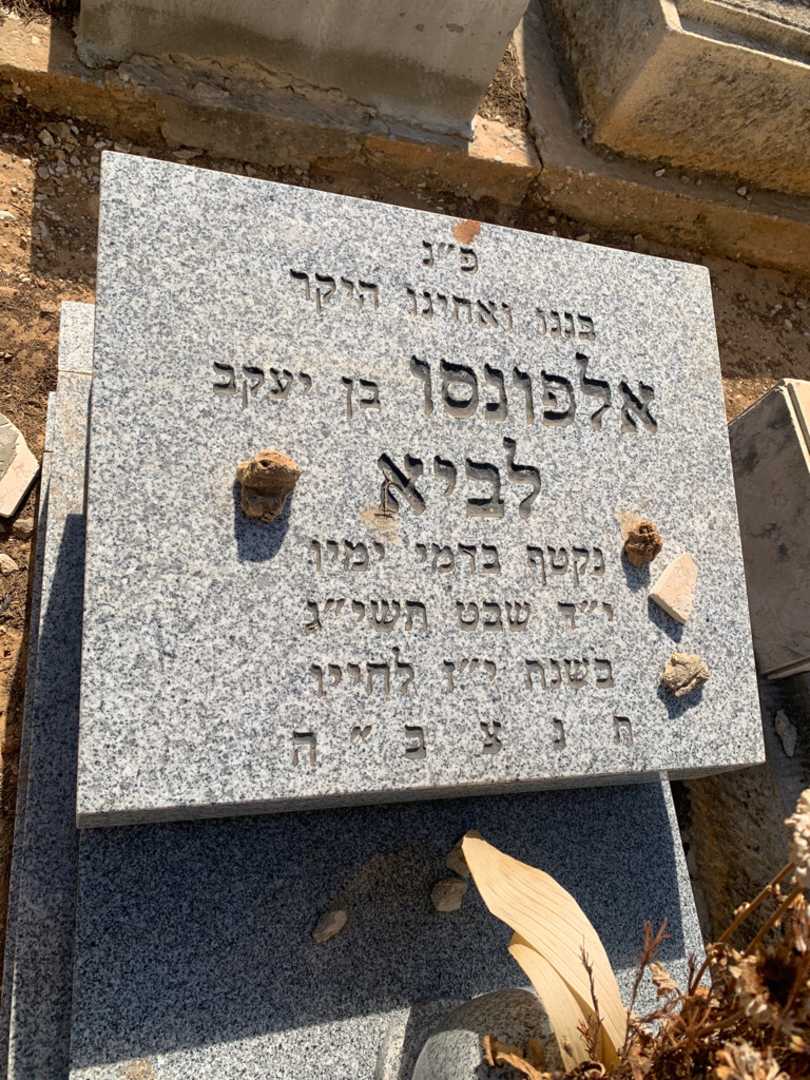 קברו של שלום לביא. תמונה 2