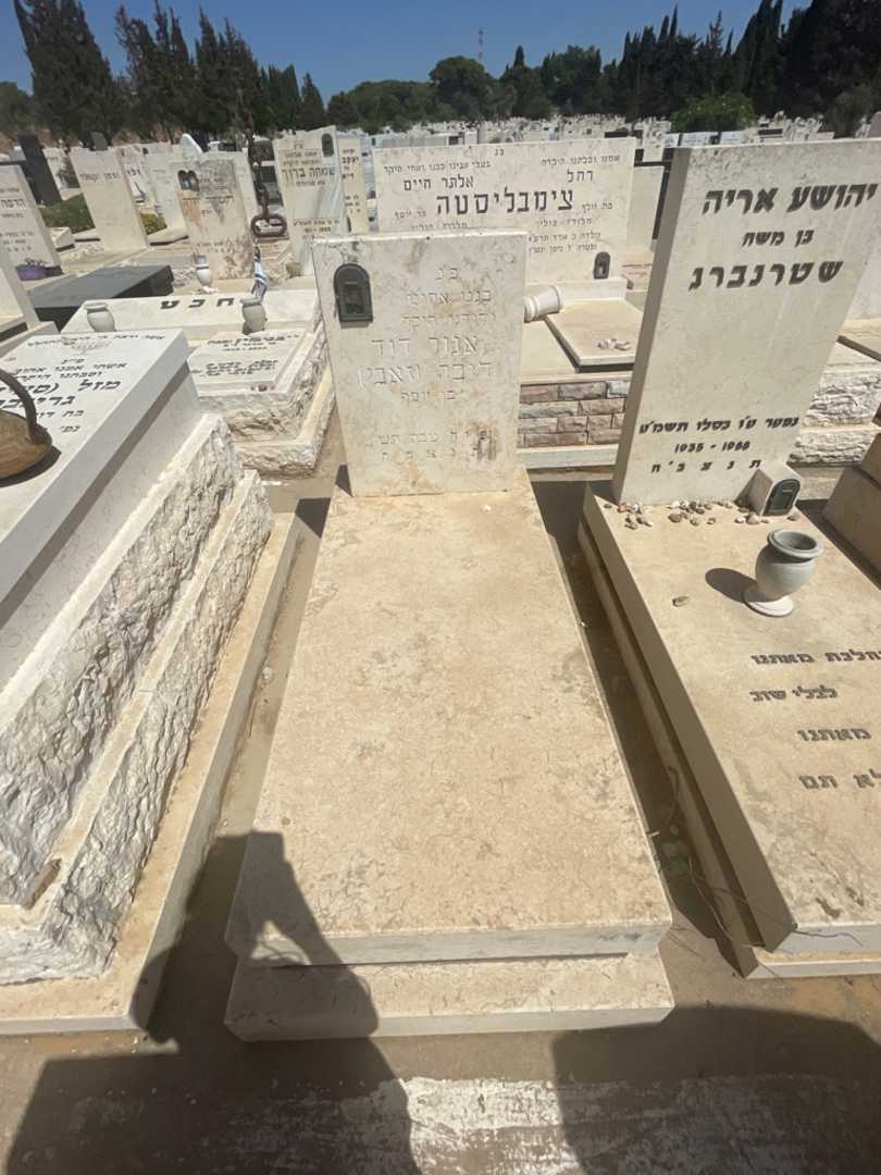 קברו של אנור דוד "זאבי" דיבה