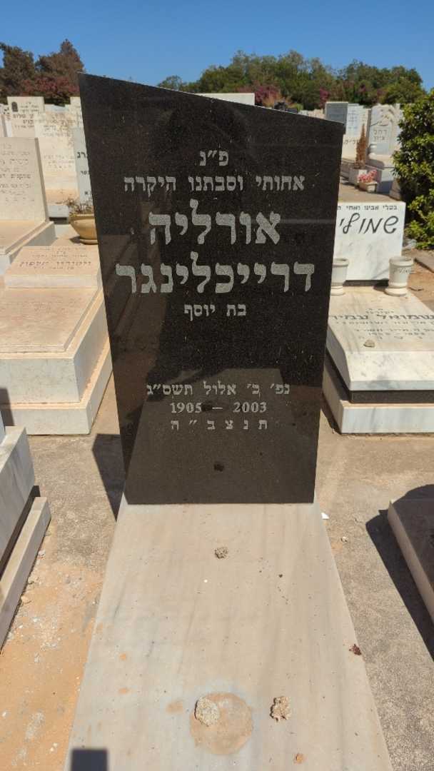 קברו של אורליה דרייכלינגר