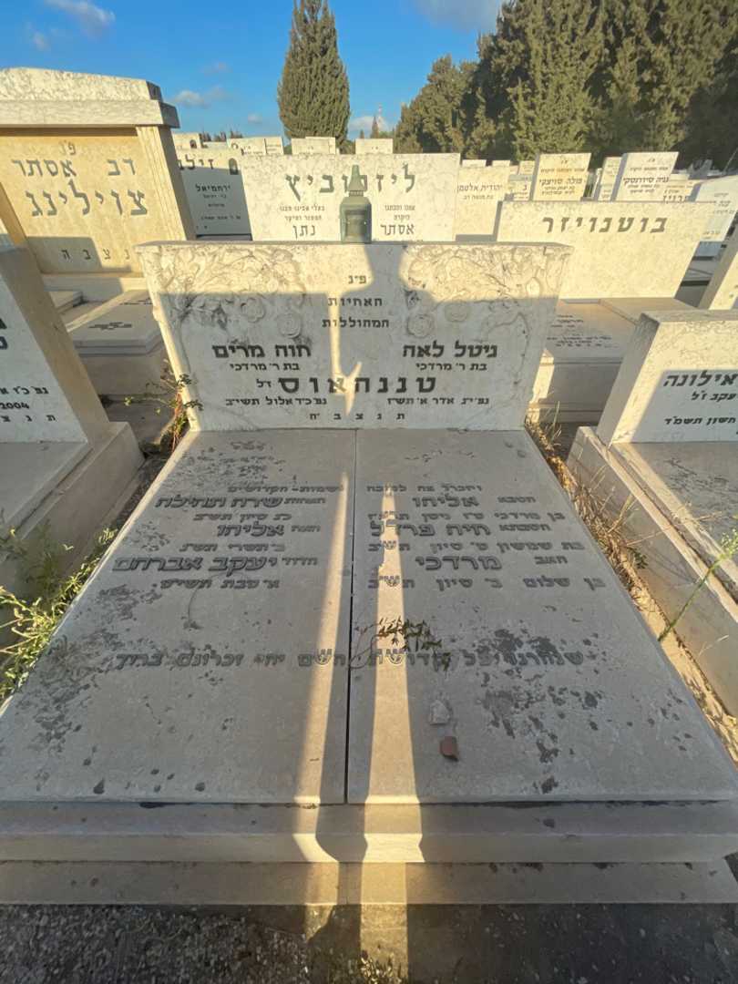 קברו של חוה מרים טננהאוס. תמונה 1