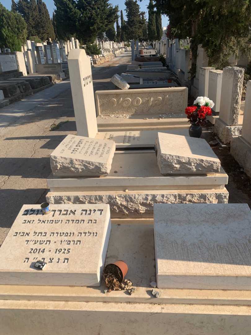 קברו של דינה אברך דולב