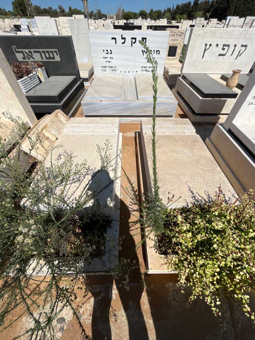 קברו של לואיזה בכר. תמונה 2