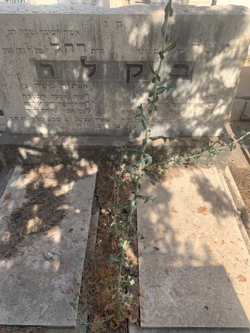 קברו של רחל בקלר. תמונה 2