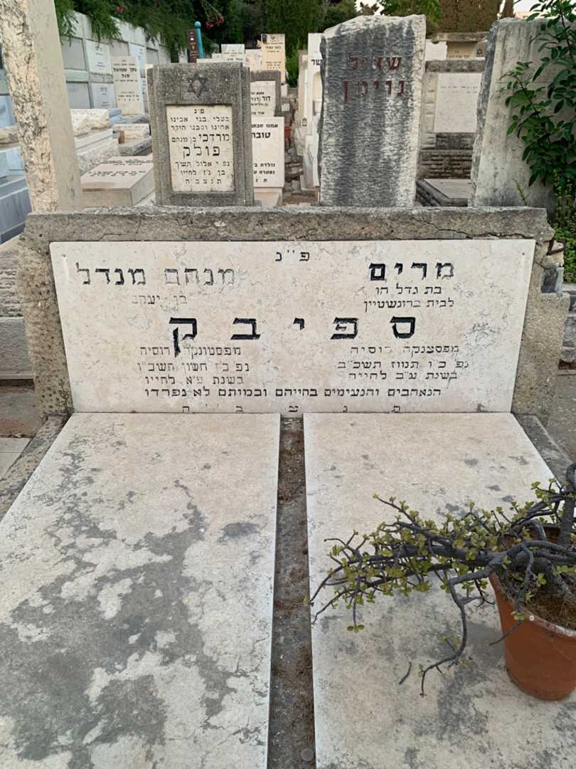 קברו של מרים ספיבק. תמונה 1