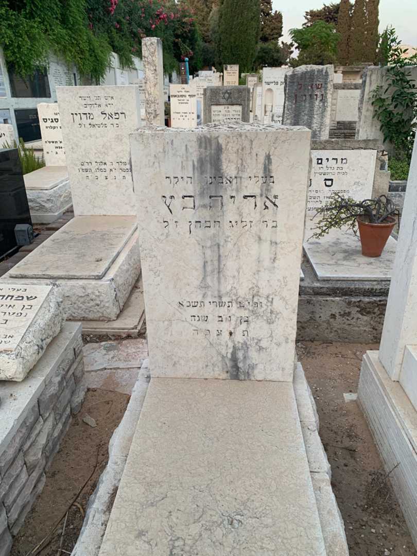 קברו של אריה כץ