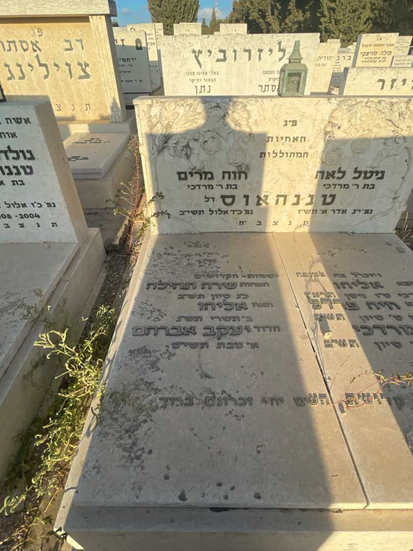 קברו של חוה מרים טננהאוס. תמונה 2