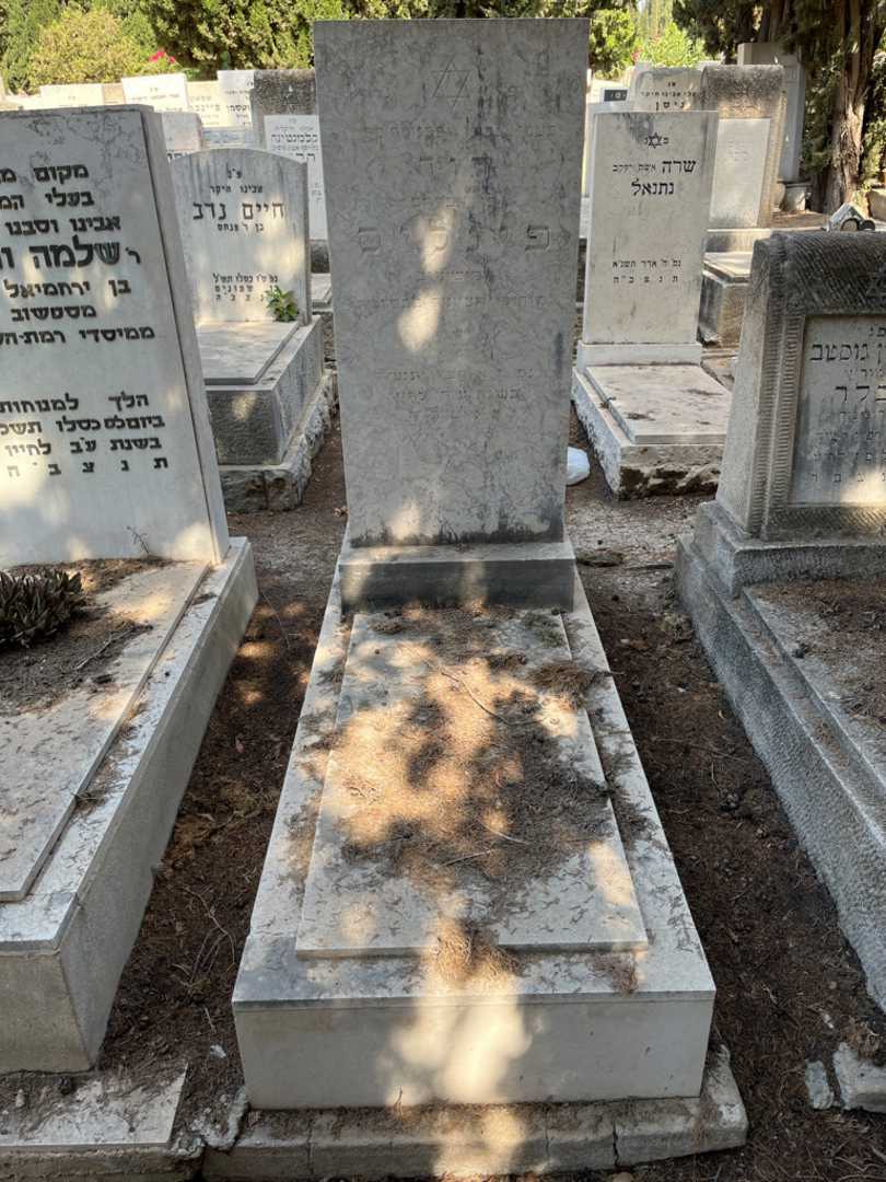 קברו של דוד פינליס