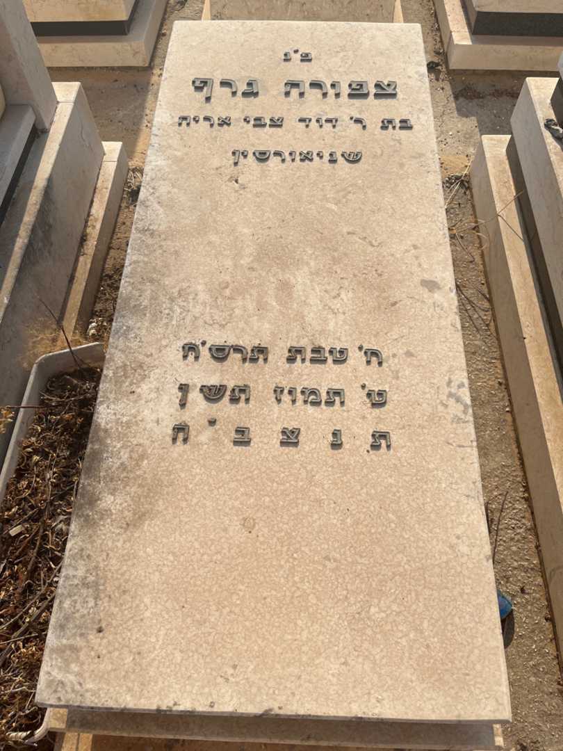 קברו של צפורה גרף