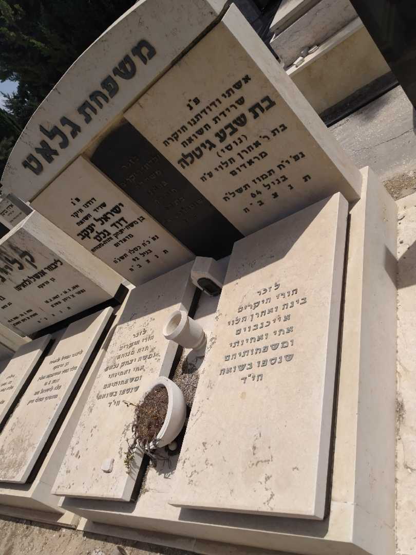 קברו של בינה "אייכנבוים" הלוי. תמונה 1