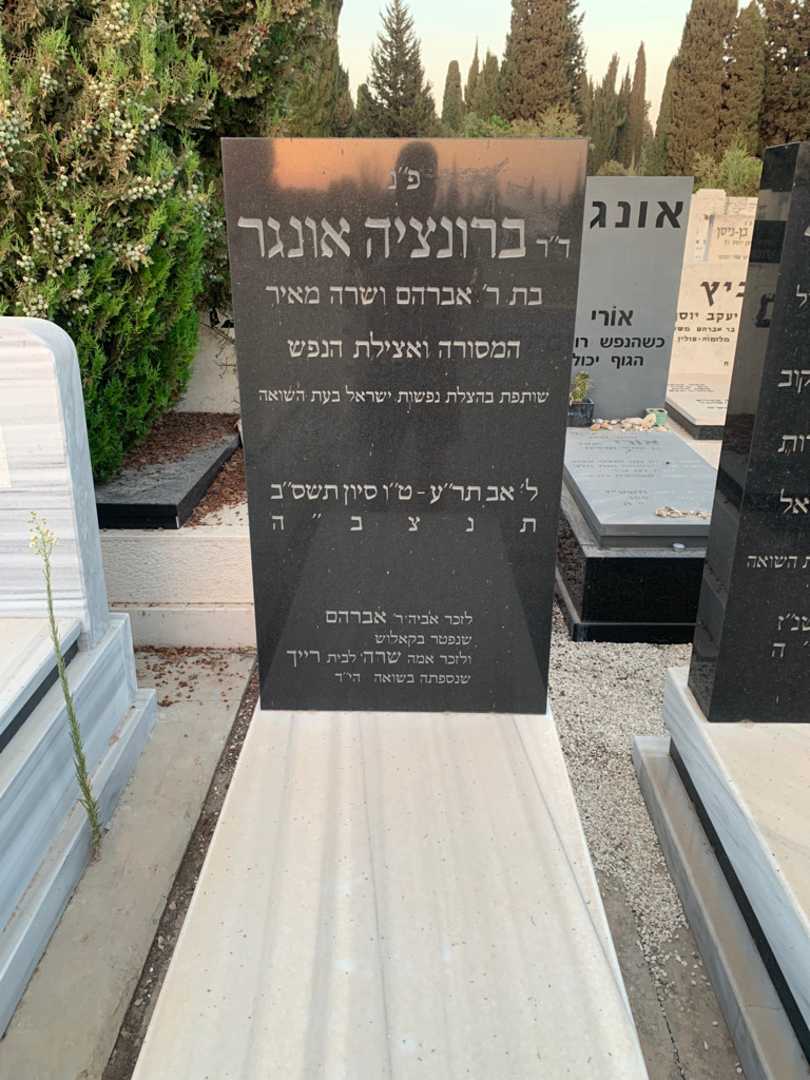 קברו של אברהם רייך