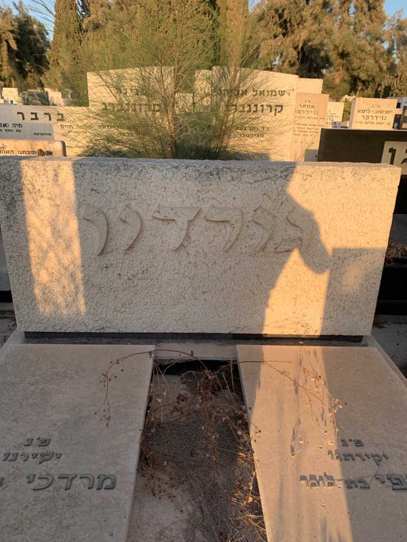 קברו של מרדכי גורדון. תמונה 1