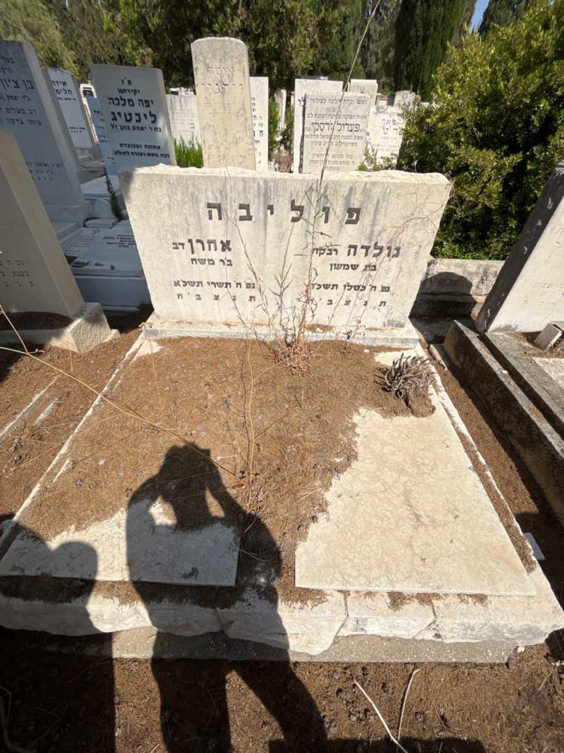קברו של אהרן "דב" פוליבה. תמונה 1