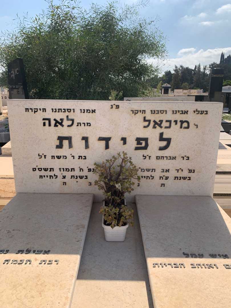 קברו של מיכאל לפידות. תמונה 1