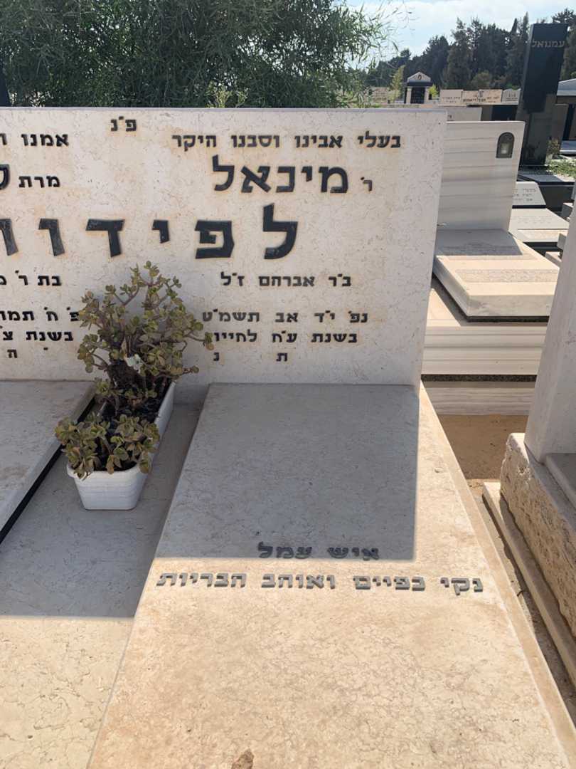 קברו של מיכאל לפידות. תמונה 2