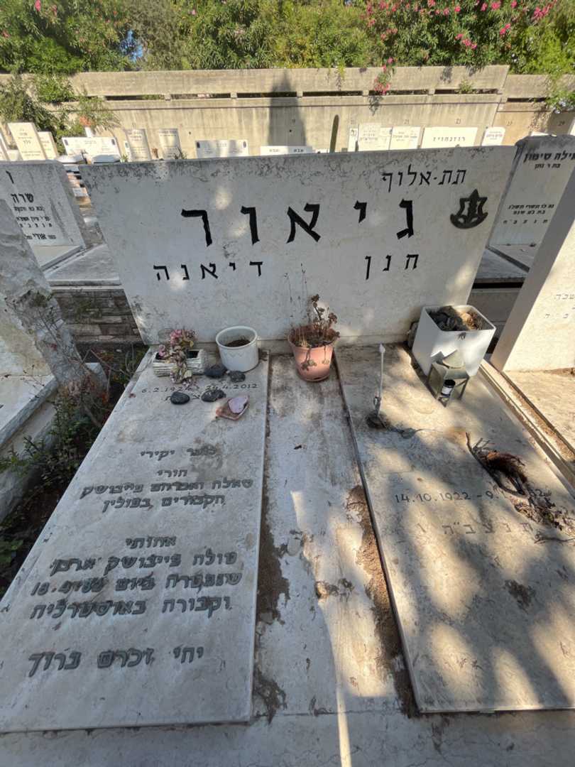 קברו של דיאנה גיאור. תמונה 1