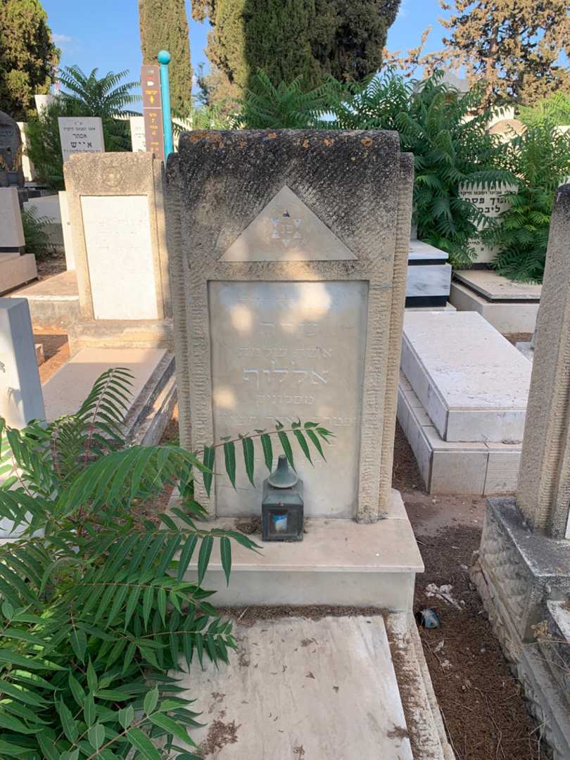 קברו של שרה אללוף