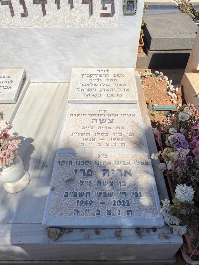 קברו של צשה פריידנרייך. תמונה 2
