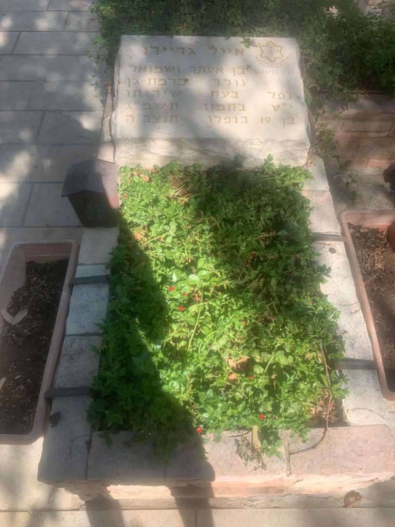 קברו של אייל גריידו