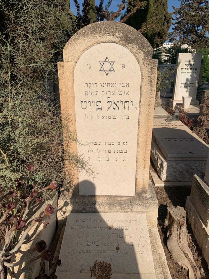 קברו של דוד פייט