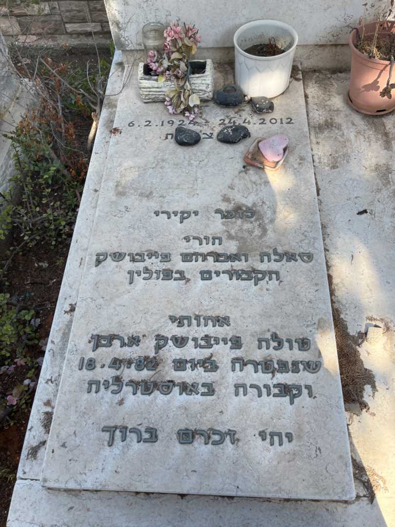 קברו של דיאנה גיאור. תמונה 2
