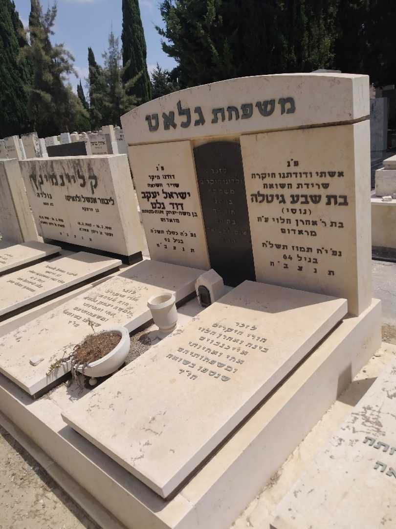 קברו של בינה "אייכנבוים" הלוי. תמונה 2