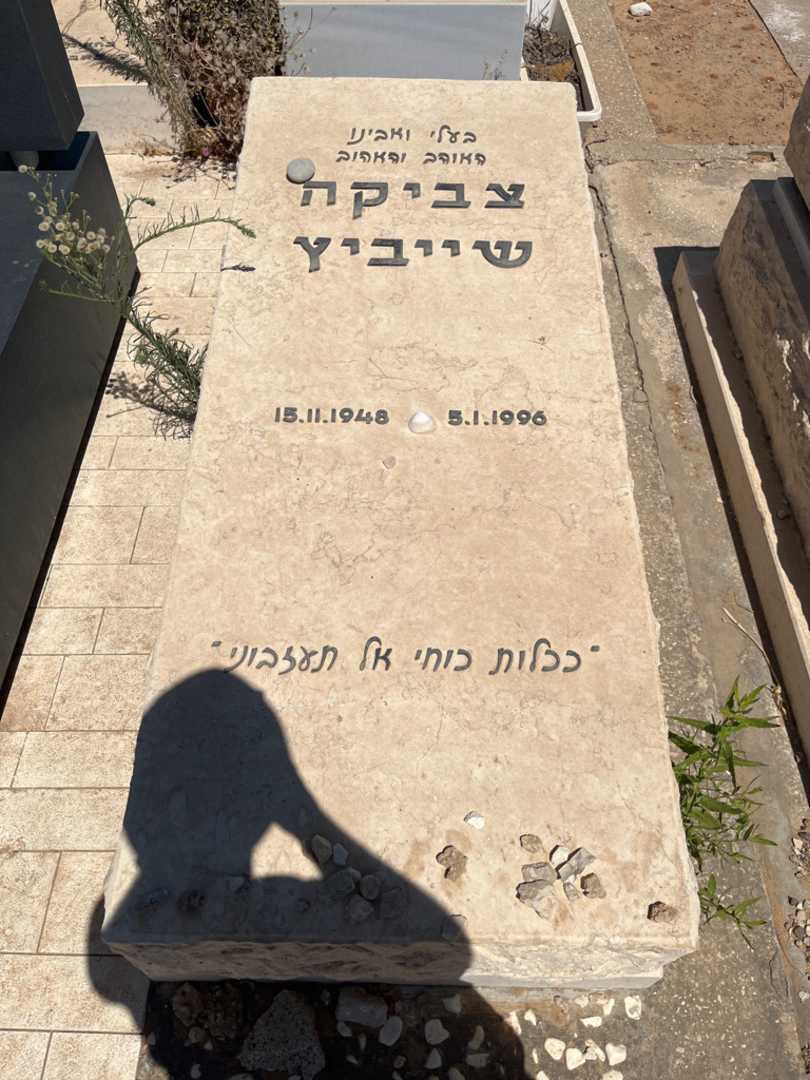 קברו של צביקה שייביץ