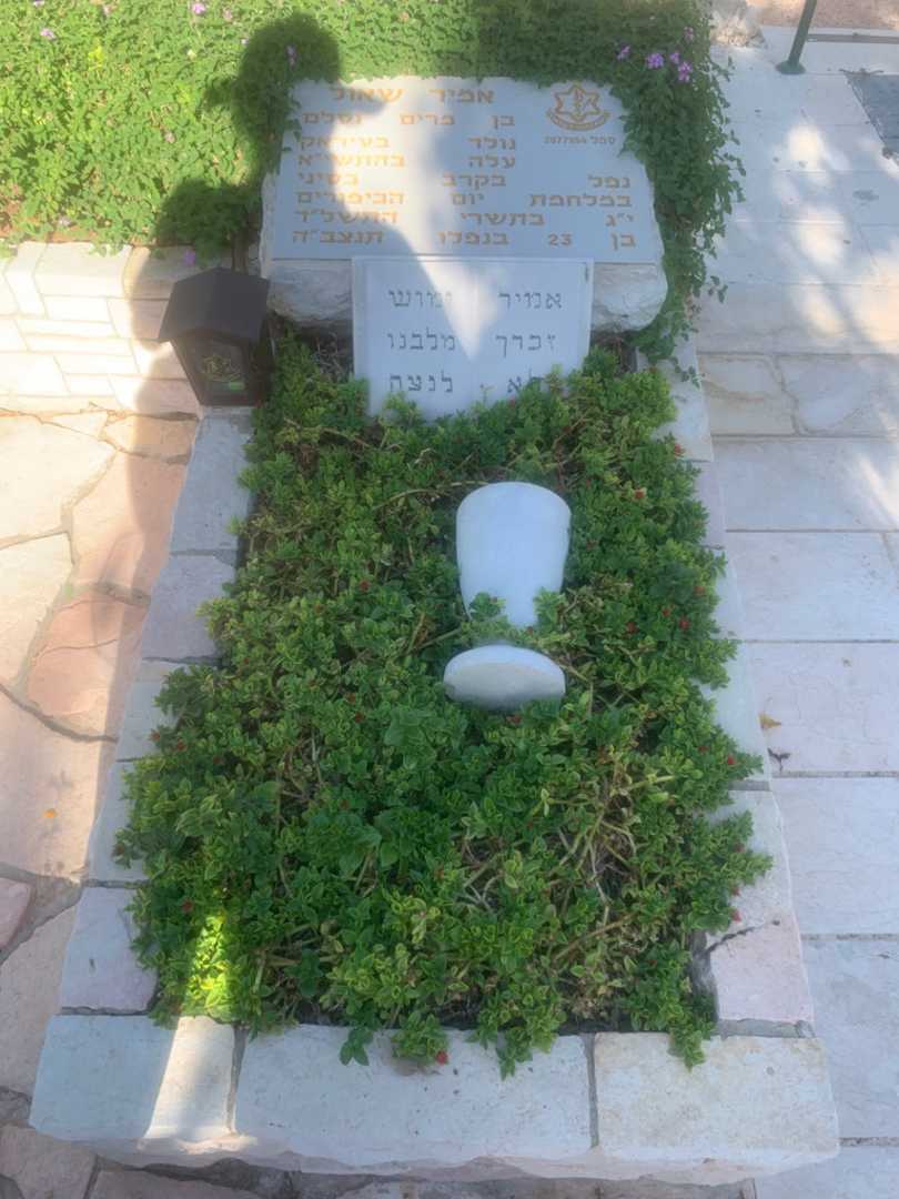 קברו של אמיר שאול