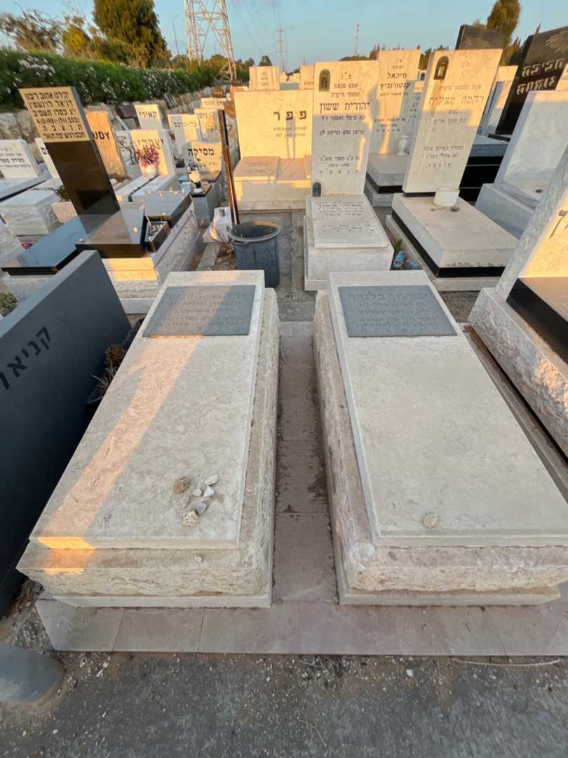 קברו של שמעון בלנדר. תמונה 2