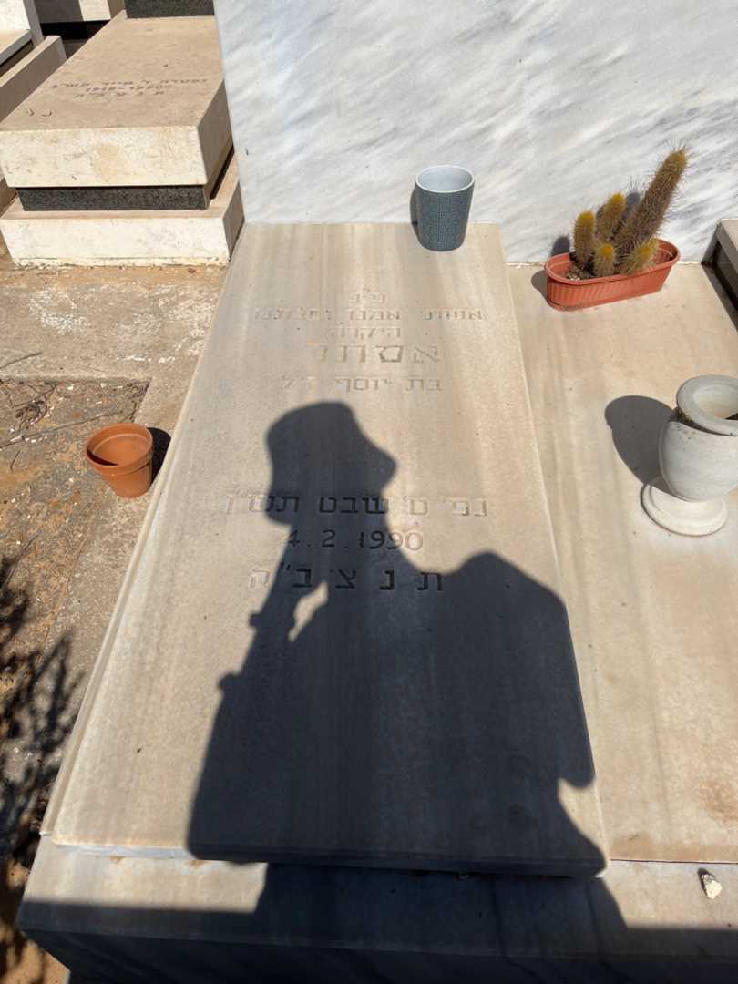 קברו של אסתר הררי. תמונה 2