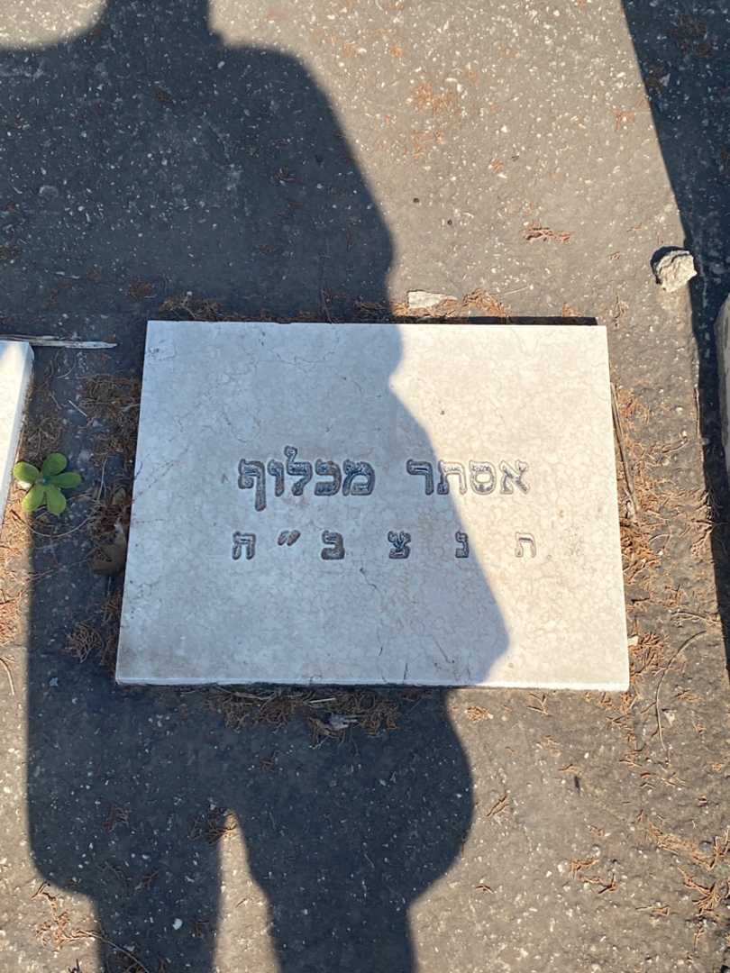 קברו של אסתר מכלוף