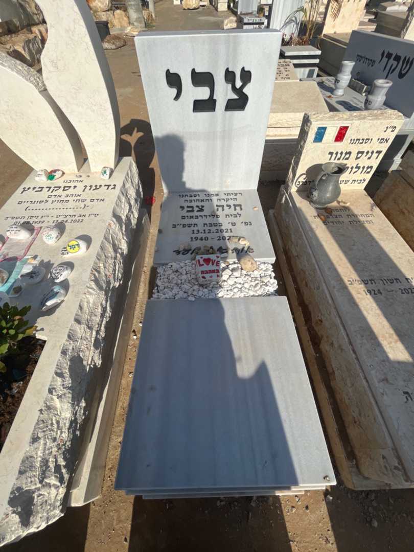 קברו של חיה צבי