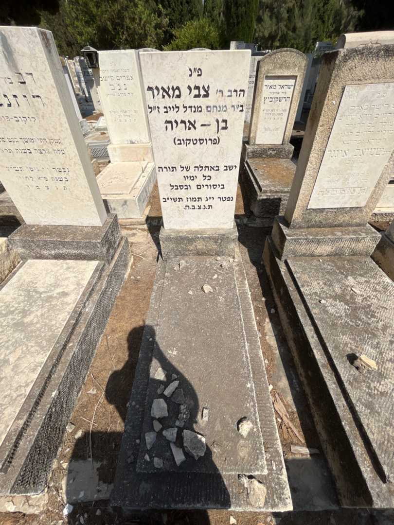 קברו של צבי מאיר בן - אריה