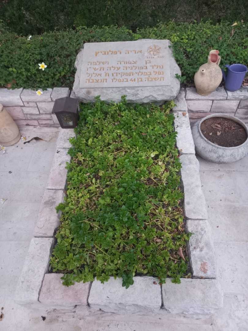 קברו של אריה רפלוביץ