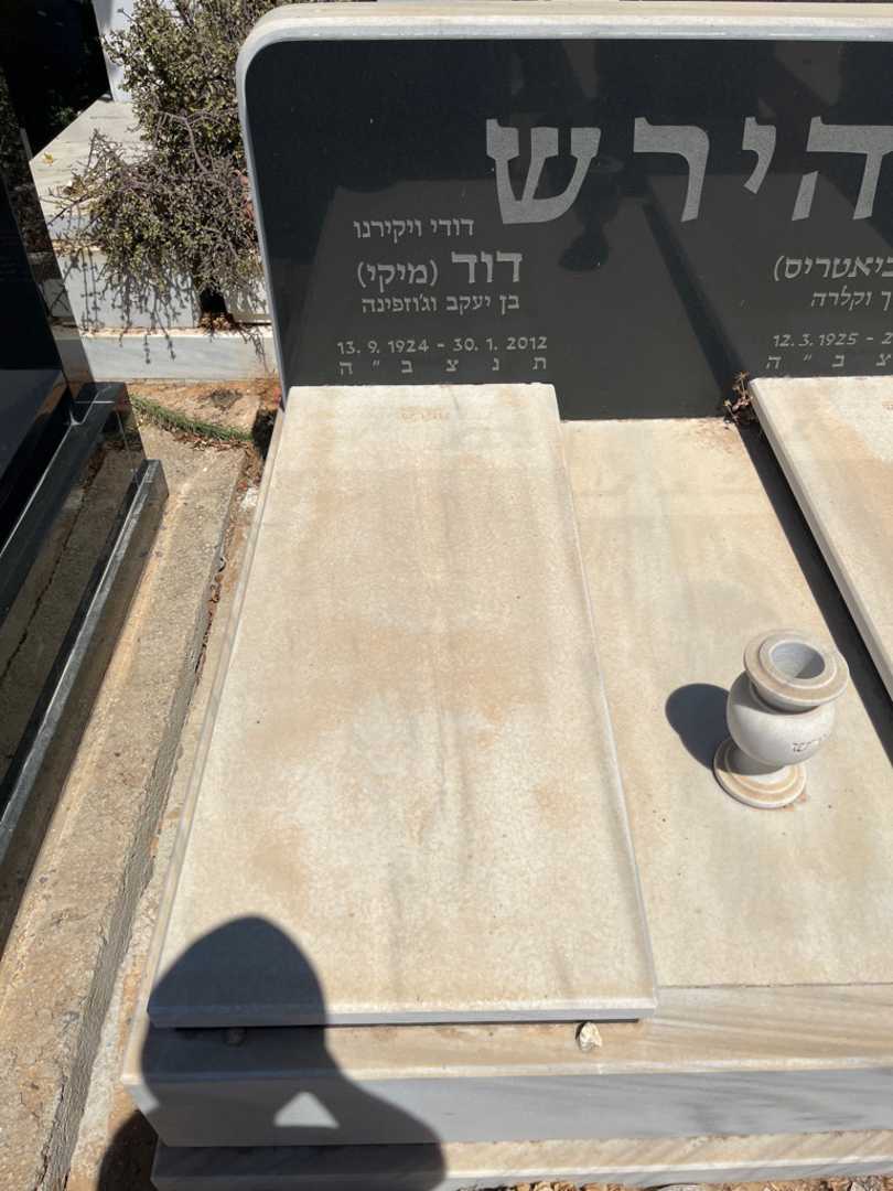קברו של דוד "מיקי" הירש. תמונה 1