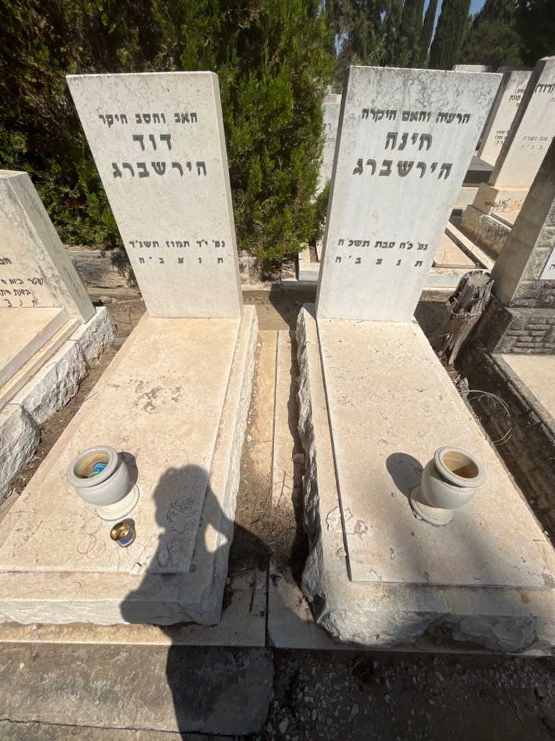 קברו של דוד הירשברג. תמונה 1