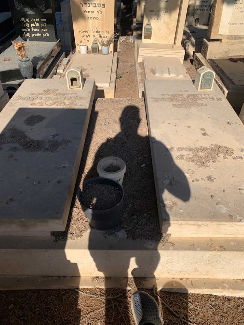 קברו של עליזה מוקמל. תמונה 1