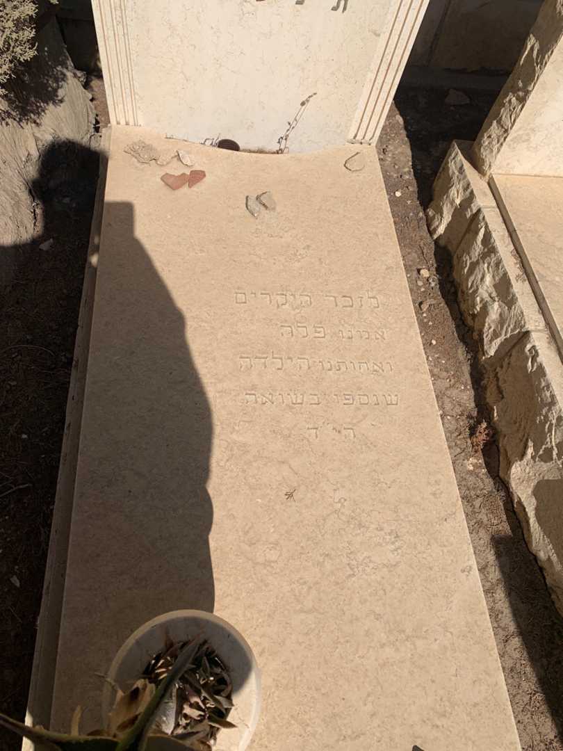 קברו של זאב בקרמן. תמונה 2