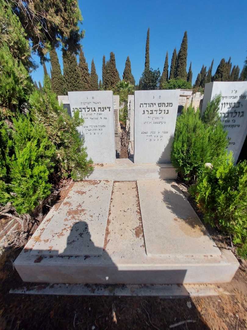 קברו של דינה גולדברג. תמונה 1