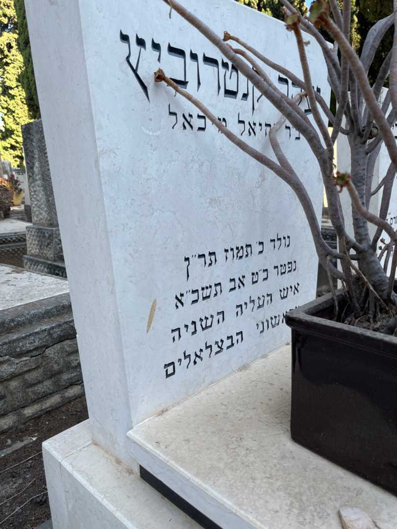 קברו של מיכאל "מייק" קנטרוביץ. תמונה 2