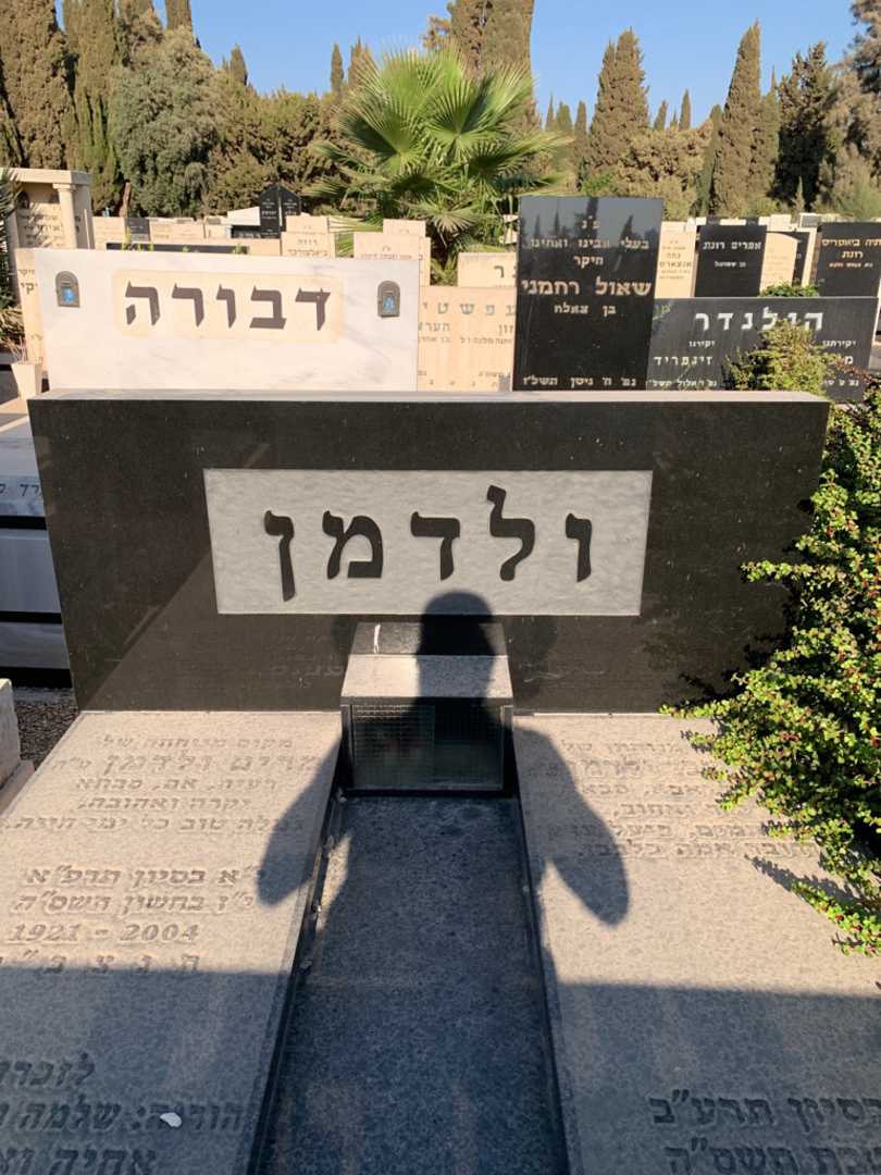 קברו של צבי ולדמן. תמונה 1