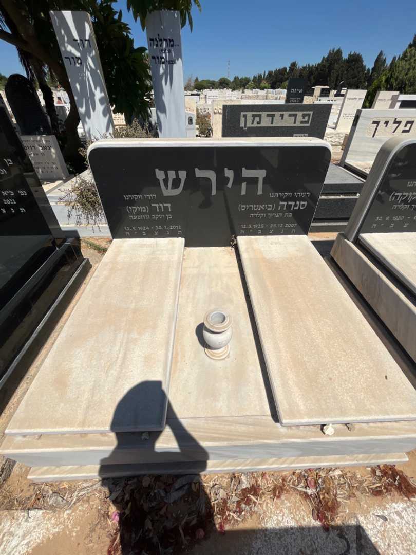 קברו של דוד "מיקי" הירש. תמונה 2