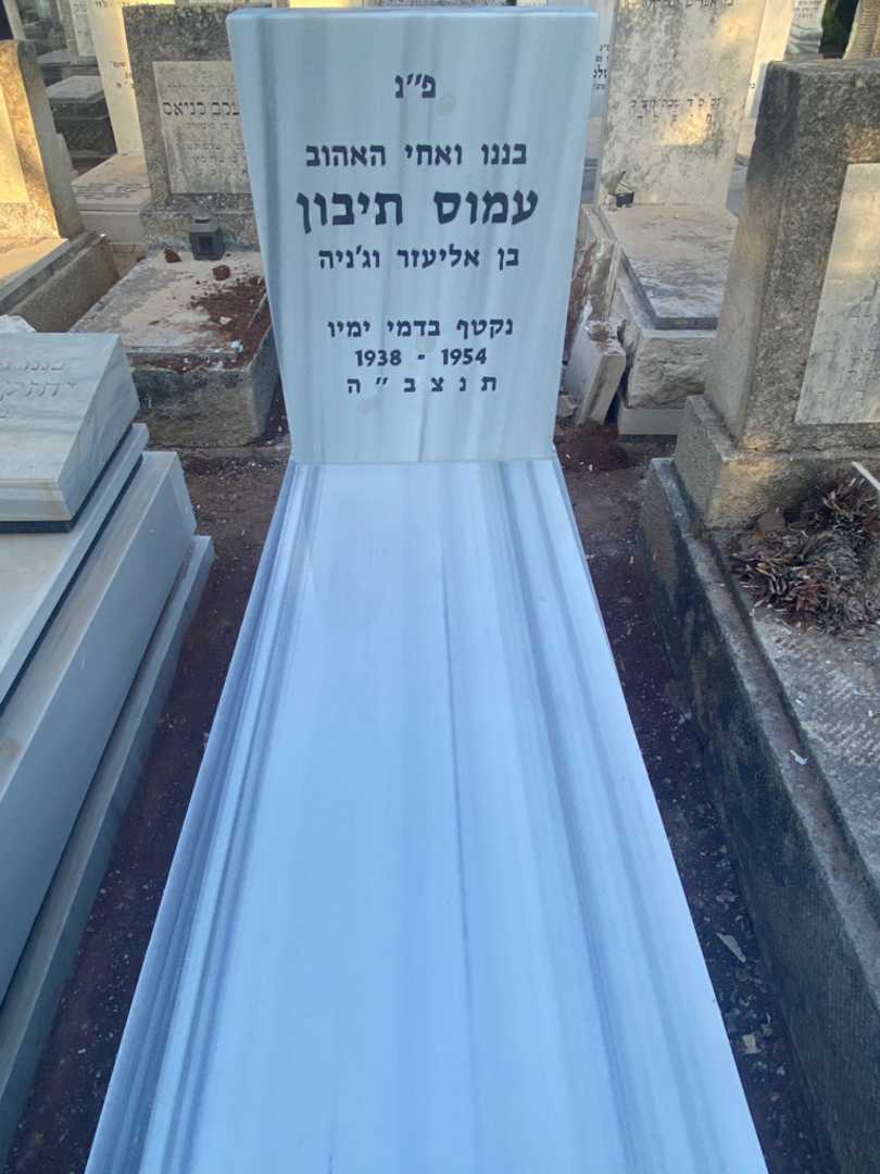 קברו של עמוס תיבון