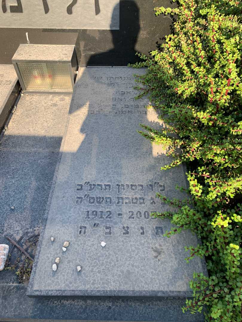קברו של צבי ולדמן. תמונה 2