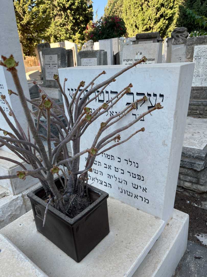 קברו של מיכאל "מייק" קנטרוביץ. תמונה 3