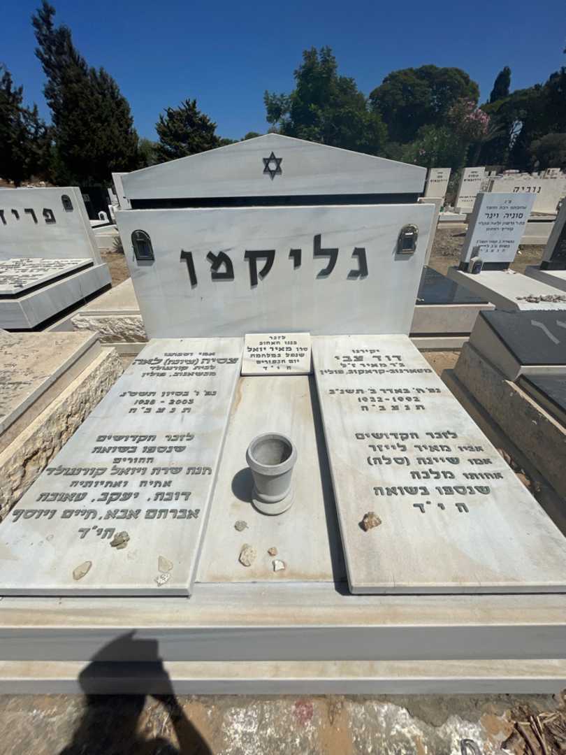 קברו של מאיר יואל גליקמן. תמונה 1