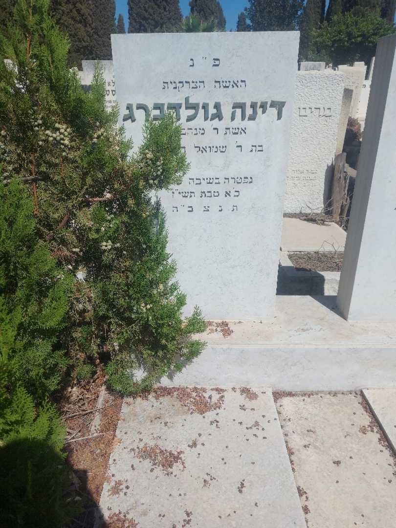 קברו של דינה גולדברג. תמונה 2
