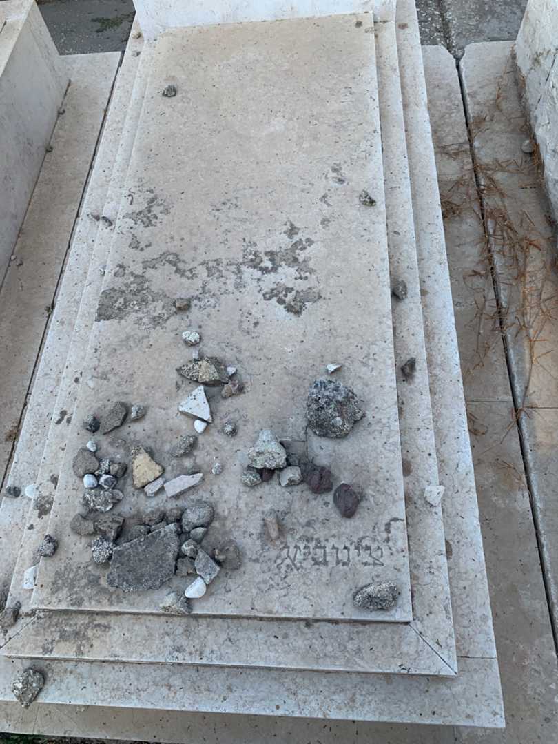 קברו של חיים צבי צינוביץ. תמונה 2
