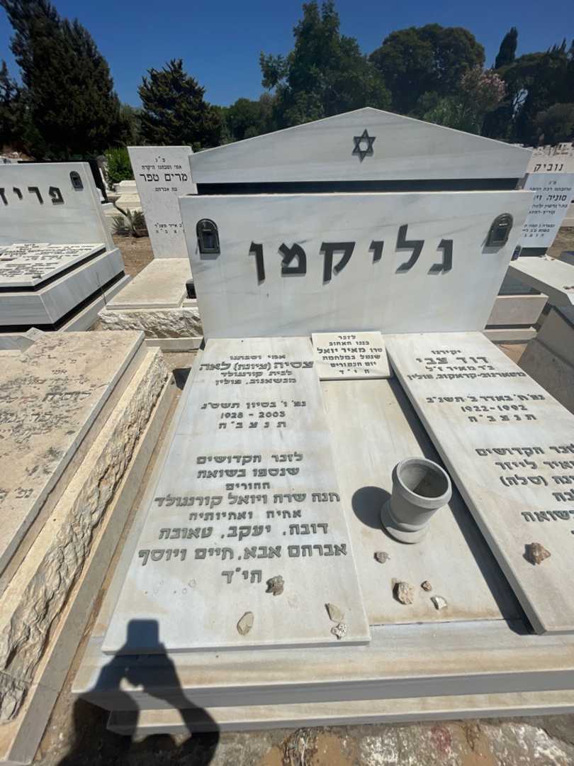 קברו של מאיר יואל גליקמן. תמונה 2