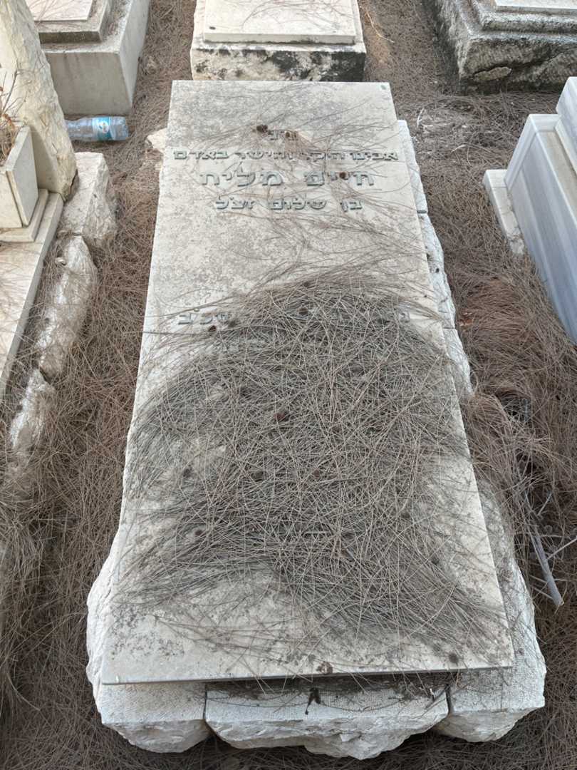 קברו של חיים מליח