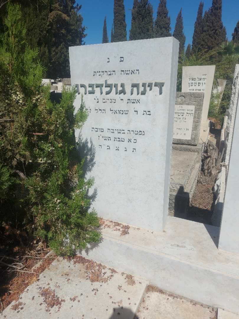 קברו של דינה גולדברג. תמונה 3